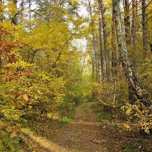 Photo #11088349