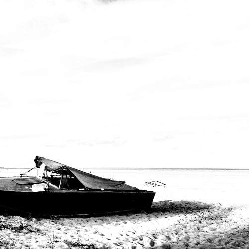 Photo #11088957