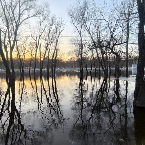 Photo #11088963