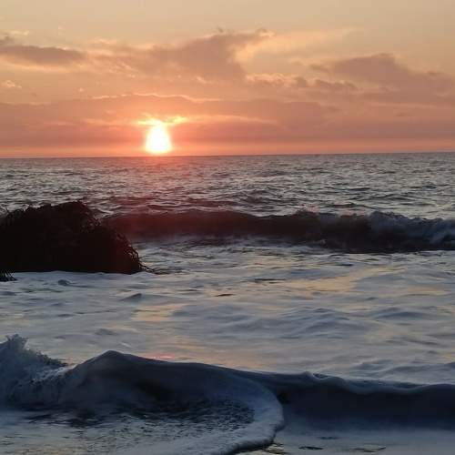 Photo #11088983