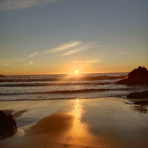 Photo #11088987