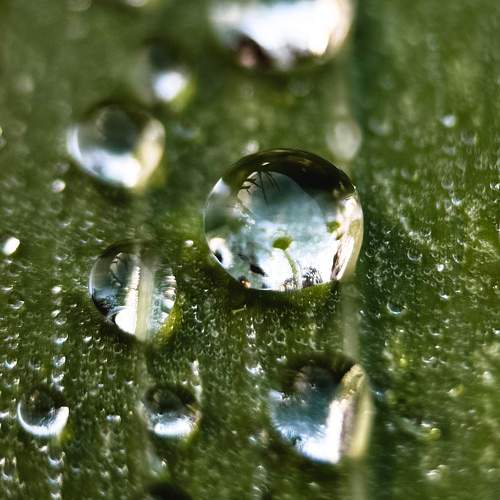 Photo #11089228
