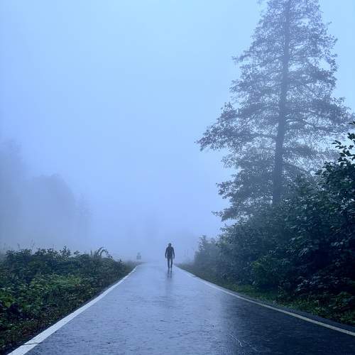 Photo #11089472