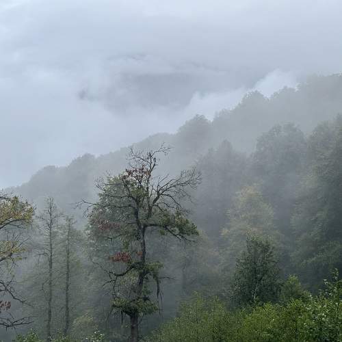 Photo #11089478