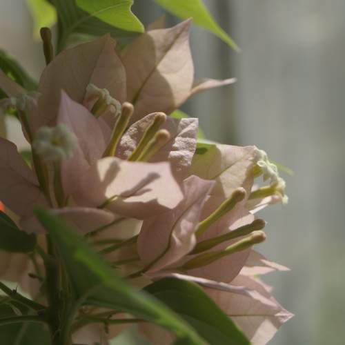 Photo #11089808
