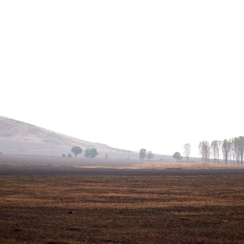 Photo #11089968