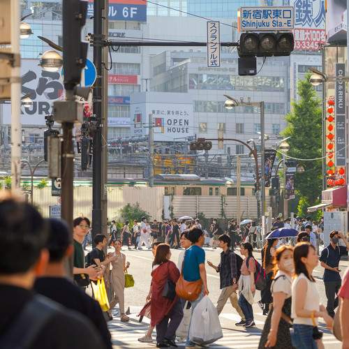 Photo #11090454