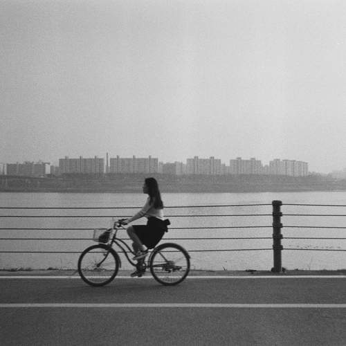 Photo #11090521