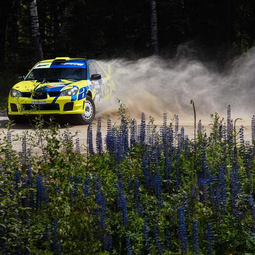 Photo #11090682