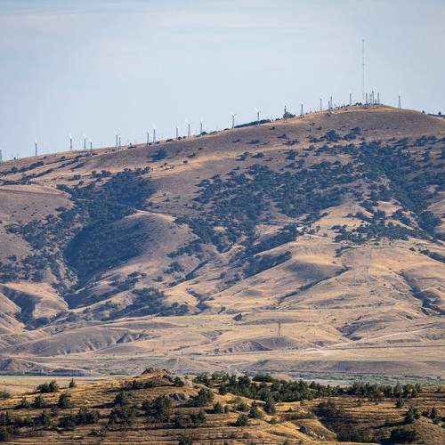 Photo #11090754