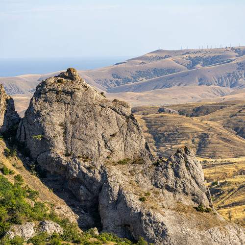 Photo #11090755