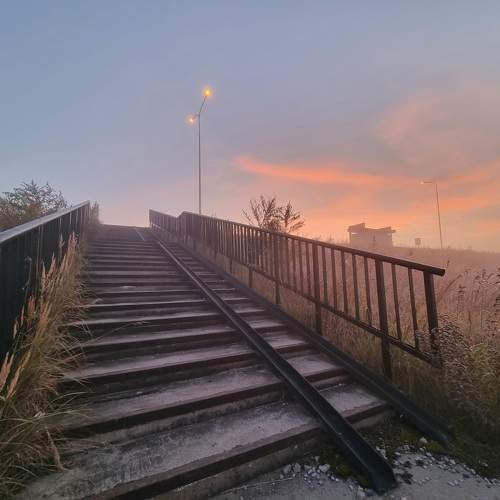 Photo #11091112