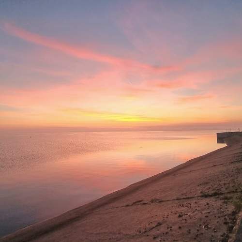 Photo #11091232