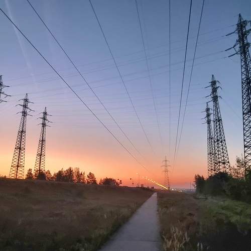Photo #11091247