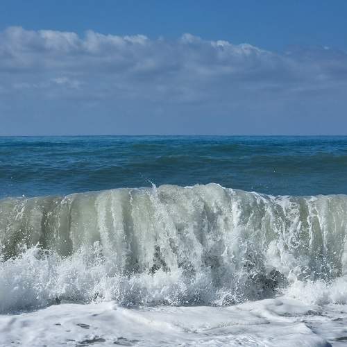 Photo #11091257
