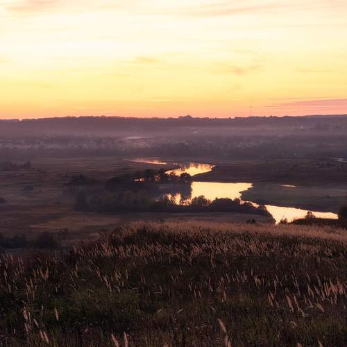 Photo #11091300