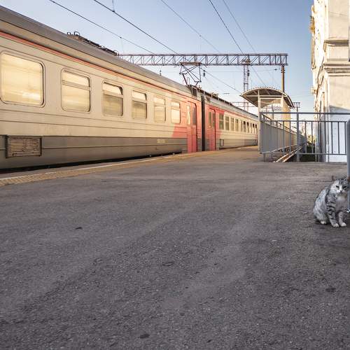 Photo #11091947