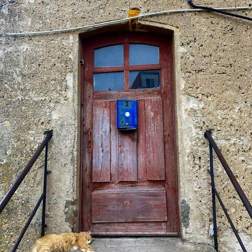 Photo #11092203