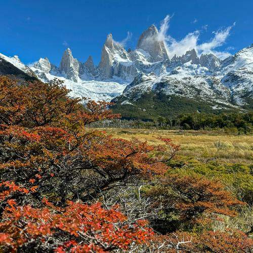 Photo #11092216