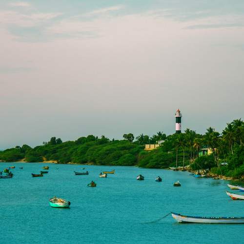 Photo #11092674