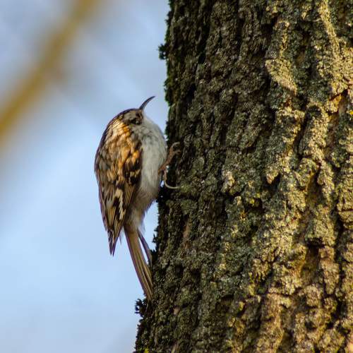 Photo #11092952