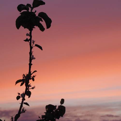Photo #11093056