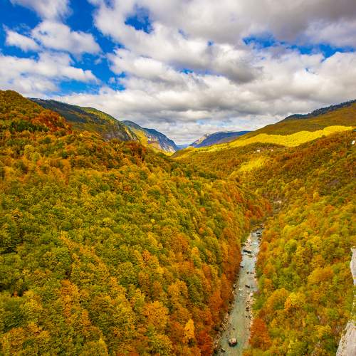 Photo #11093120
