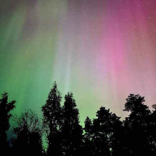 Photo #11093378