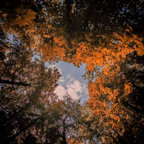 Photo #11093595