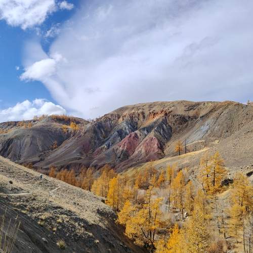 Photo #11093663