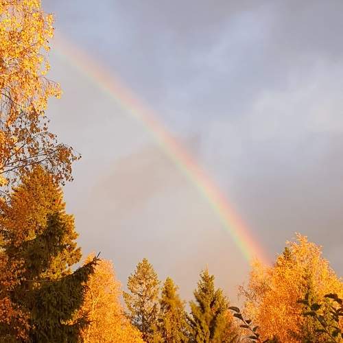 Photo #11093827