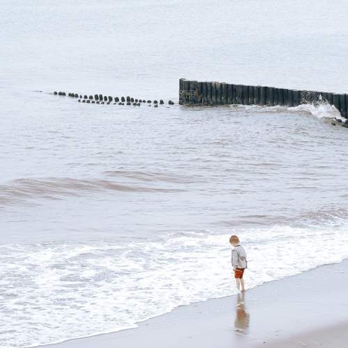Photo #11093853