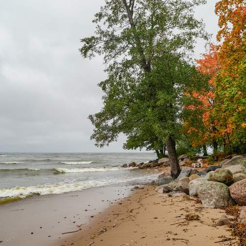 Photo #11094022