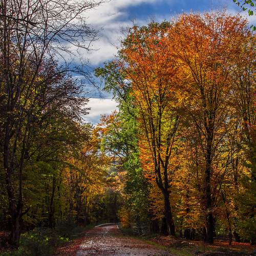 Photo #11094070