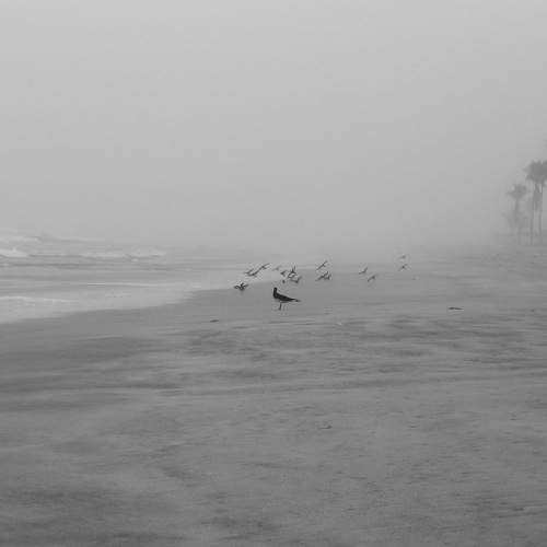 Photo #11094253
