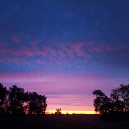 Photo #11094388