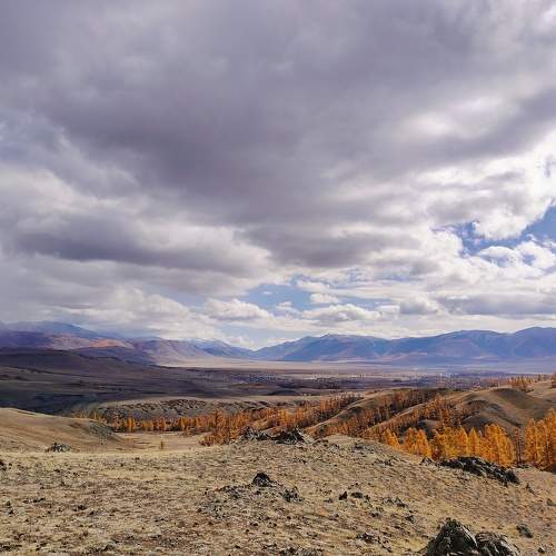 Photo #11094451