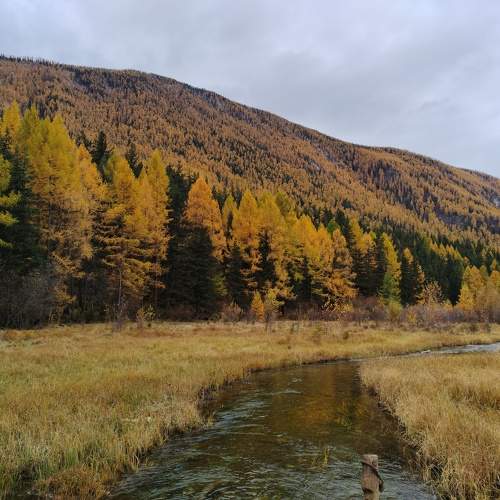 Photo #11094646