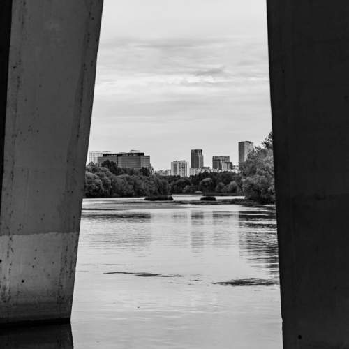 Photo #11094787