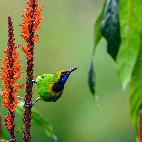 Photo #11094816