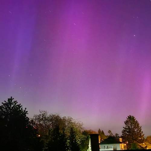 Photo #11095317