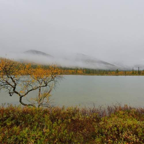 Photo #11095543