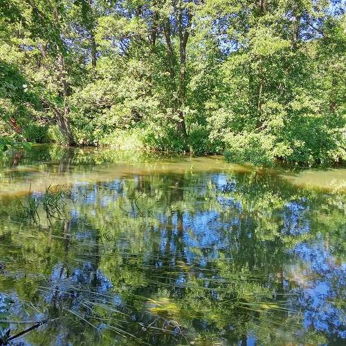 Photo #11096093