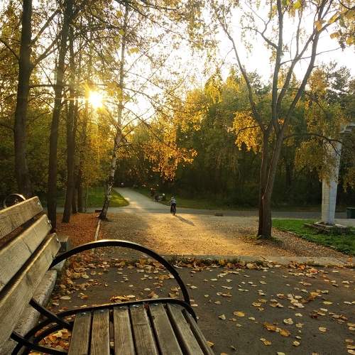 Photo #11096217