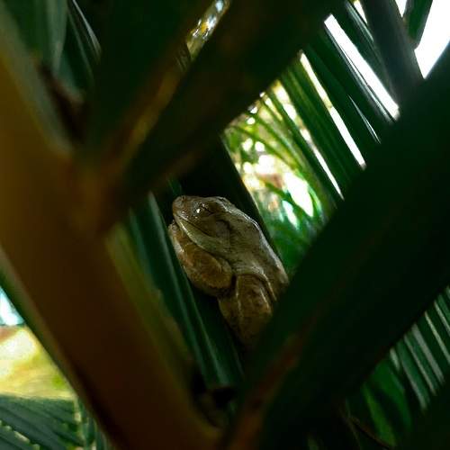 Photo #11096273