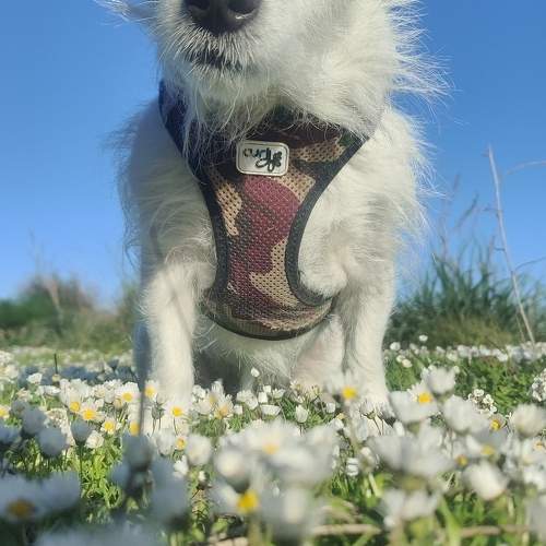 Photo #11096397