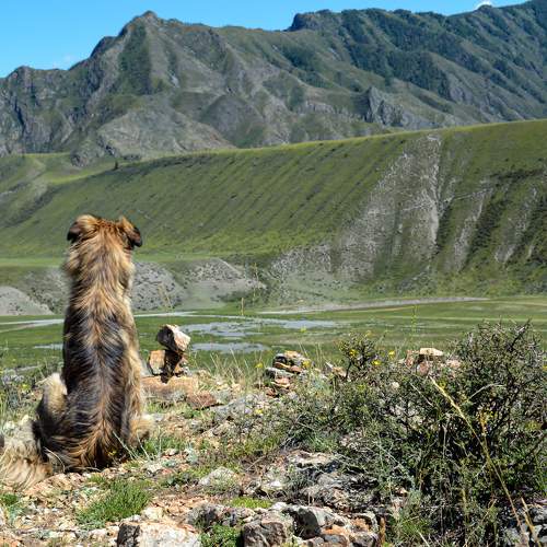 Photo #11096518