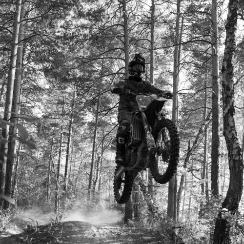 Photo #11096779