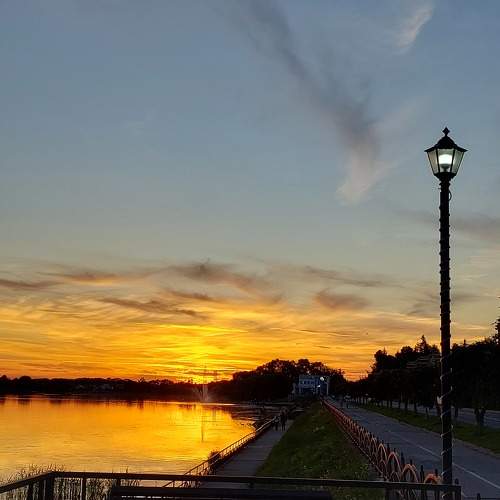 Photo #11096873