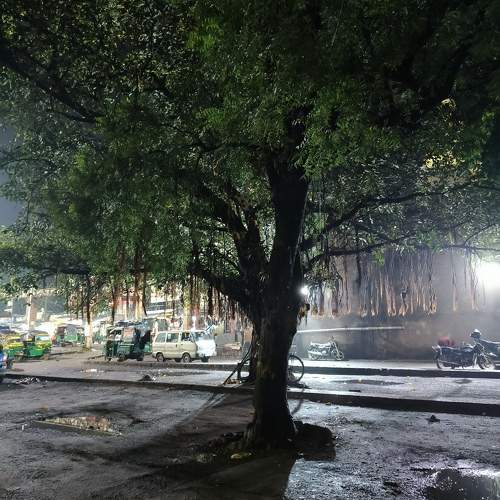 Beauty at Night